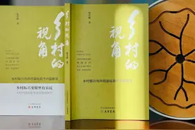 贺雪峰 | 城乡差距：差距偏高并非一定是坏事图片