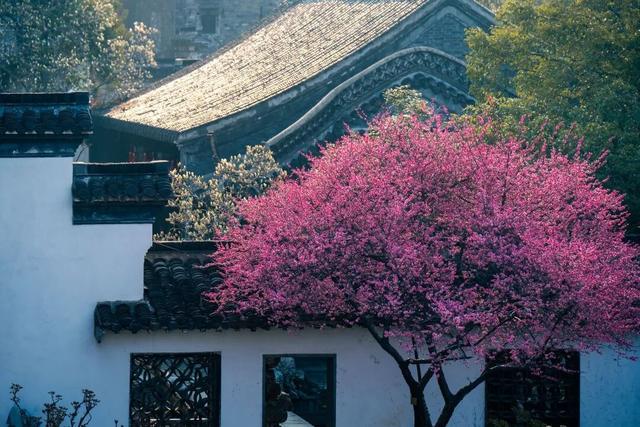 四时天工 扬州如画