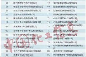 “2024年度中国精细化工百强”榜单发布，山东15家企业入选图片