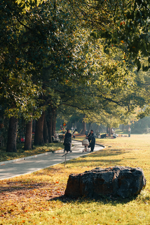 天晴了，去落雁过秋天！