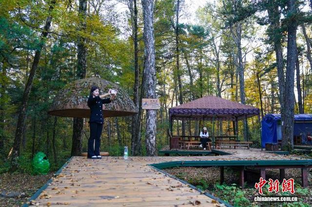 黑龙江伊春：秋分时节 游人畅游汤旺河林海奇石景区
