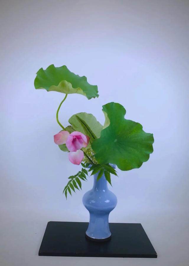 七夕赏荷、浪漫邂逅，2025上海松江荷花节“荷塘月色·印象新浜”主题活动来啦