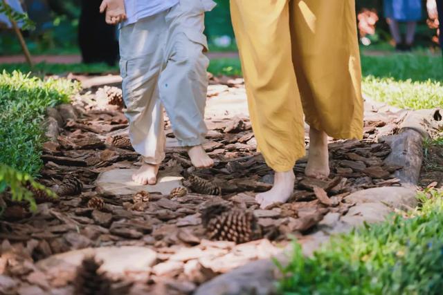 绿美云山丨以森林入药 漫享云山身心疗愈