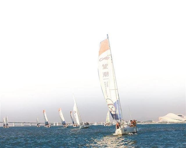 国际游艇展推出两大海洋主题活动 沉浸式探索海洋奥秘