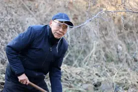 坚守绿化家乡初心 38载植树护林图片