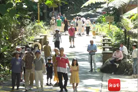 热带雨林+黎苗文化 来琼中打卡新玩法图片