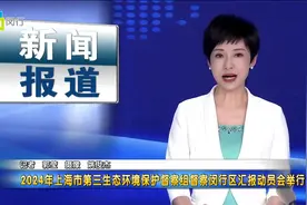 2024年上海市第三生态环境保护督察组督察闵行区汇报动员会举行视频封面