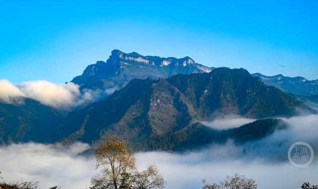 雾绕彩林伴冬阳