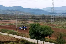 永清镇两个千亩小麦良繁基地带动全镇秋耕秋播持续掀起新高潮图片