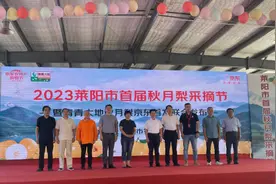 网红水果秋月梨核心产区开始采摘：产量8万吨，创5年新高图片