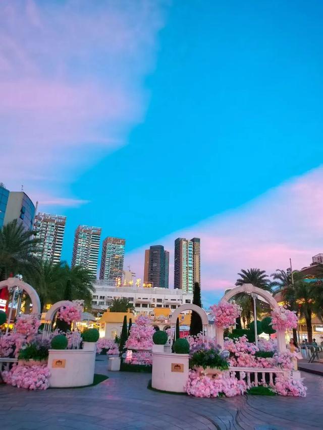 八月的尾声，深圳霞光倾城
