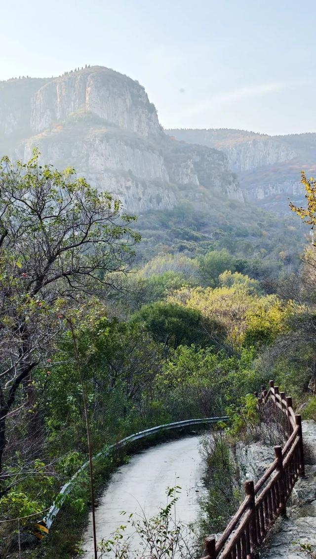 9.9元！深秋里寻一处静谧！本周六出发，打卡长清王泉摩崖石窟、义静寺！