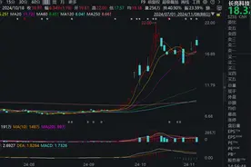 涨超200%！基金定增项目大赚，“冷门”业务要火？图片