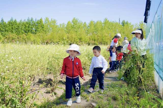 让烟花替我给你说“新年快乐”（附观赏入口）