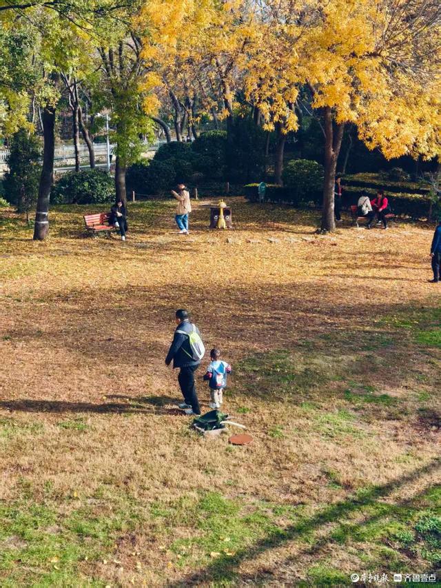 秋高气爽，金色泉城公园