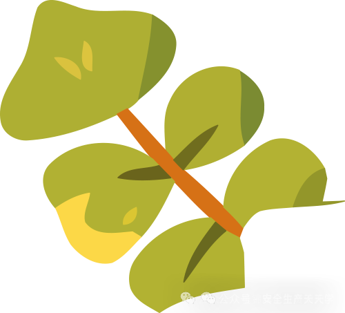 安全提示 | 这份假期安全提示，请查收！