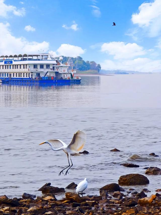 免费食堂！现点现做！