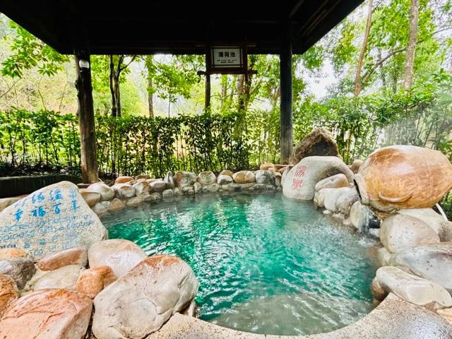 湖南绝美银杏打卡地，太出片了