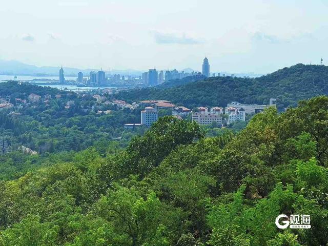 网红打卡地+1！青岛这里有座“天空之城”