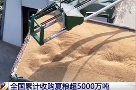 多措并举保障夏粮市场购销活跃、节粮减损 绿色科技筑牢大国粮仓根基图片