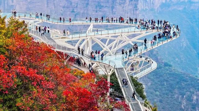 看万山红遍！河南官方发布赏红叶指南→
