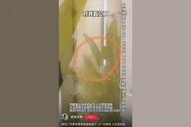 广州一奢侈品商场被指女厕所内的玻璃可透视，商场：已在进行改造图片