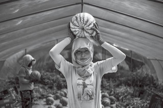 西海固：汗土上的新生