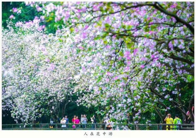 鸡西、肇庆两地联动！共谋文旅体协同发展→