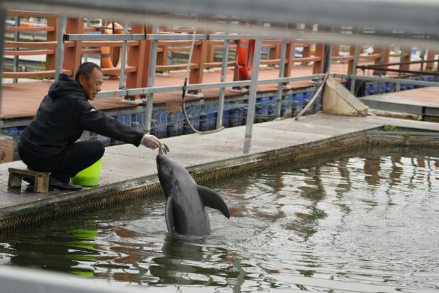 何以中国｜古城活了、生态美了，荆州成文旅市场黑马