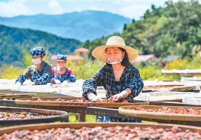 多地推介秋季旅游产品——“您有一份秋游攻略待查收”