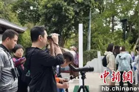 孩子们在龟山上观测到4种国家二级保护动物图片