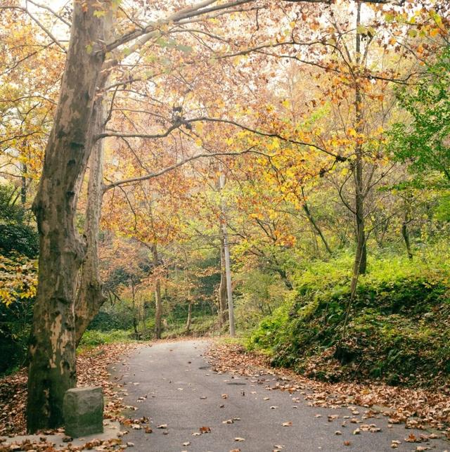 宝华山滑雪场开放时间定了