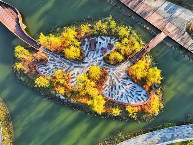 秋冬限定的普陀，美到让人流连忘返，你还不来打卡吗？