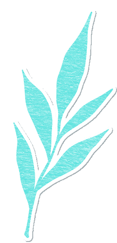 走读三明红色山河！解锁最远长征出发地的初心密码