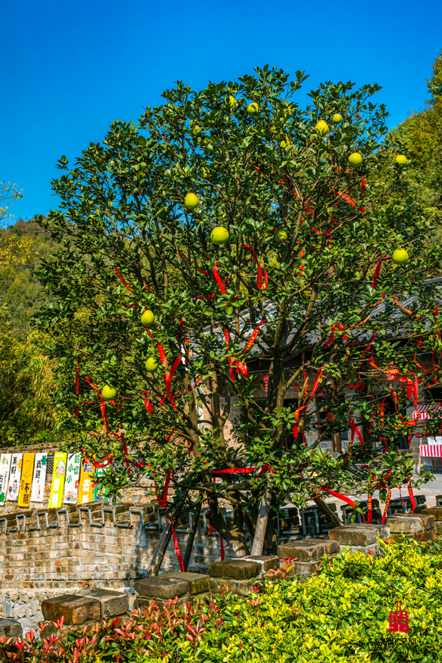 想追风，去团风！