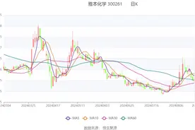 雅本化学：2024年上半年亏损5201.36万元 拟10派0.5元图片