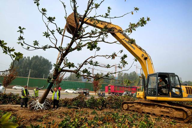 善国路（学院路至解放路）完成焕新升级