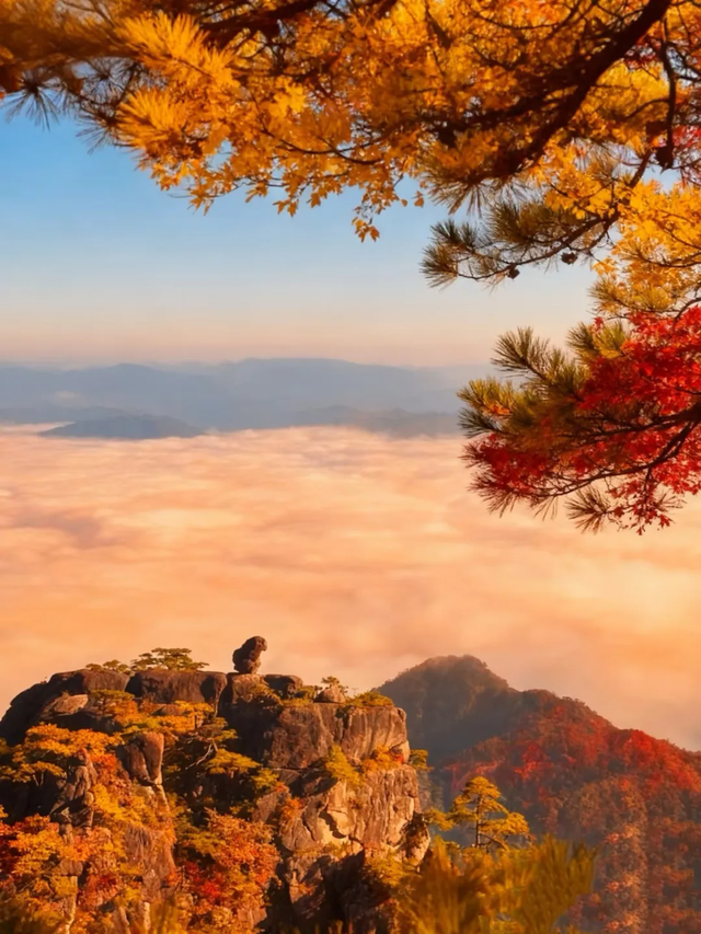 15日畅游长三角“随心乘”！怎么玩？有哪些线路？“薅羊毛”攻略来啦～