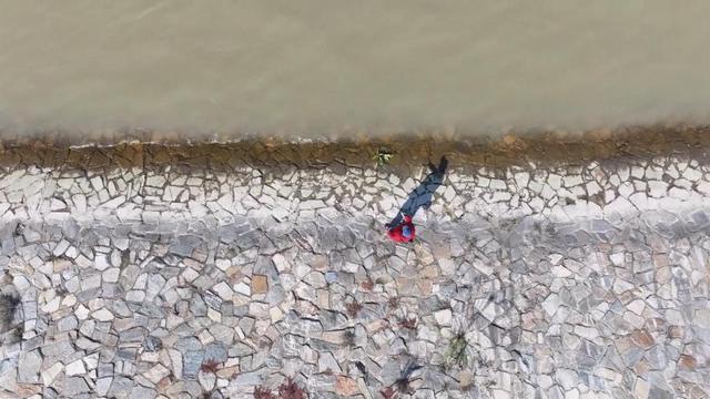 漫步青山江滩 感受海绵城市的绿色脉动