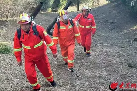 潍坊昌乐：筑牢防火墙 守护山林绿图片