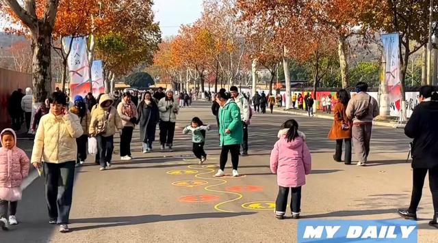 【摊主招募】这场市集藏着栖霞山最“暖”的秋