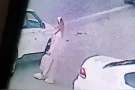 消失的越南新娘图片