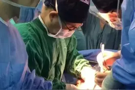 猪的器官经基因编辑移植给人？中国已分别成功将猪肾和肝移植进人体图片