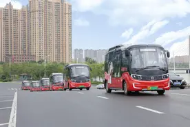 滨州：幸福巴士浪漫启程 共赴幸福之约图片