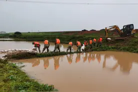 众志成城 永修县梅棠镇民兵奋战防汛第一线图片