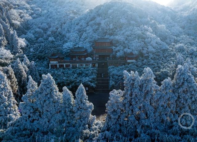 一秒入仙境！金佛山冬雪、日出、云海绝美同框
