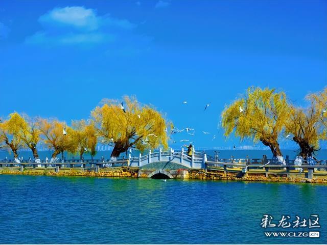 昆明小众人少看滇池喂海鸥的宝藏打卡地