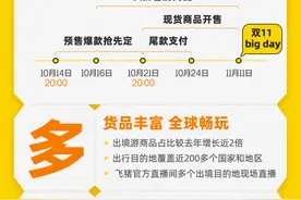 飞猪“双11”升级为“全球旅行节”，活动商品覆盖近两百个国家和地区图片