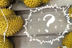 浙江女子看上680元大榴莲，结果太奇葩！图片