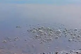 鸭绿江水冒泡与地震无关！但与冷空气有关？图片
